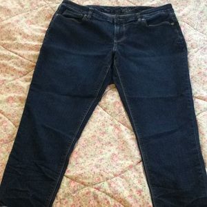 The Limited Skinny Ankle 678